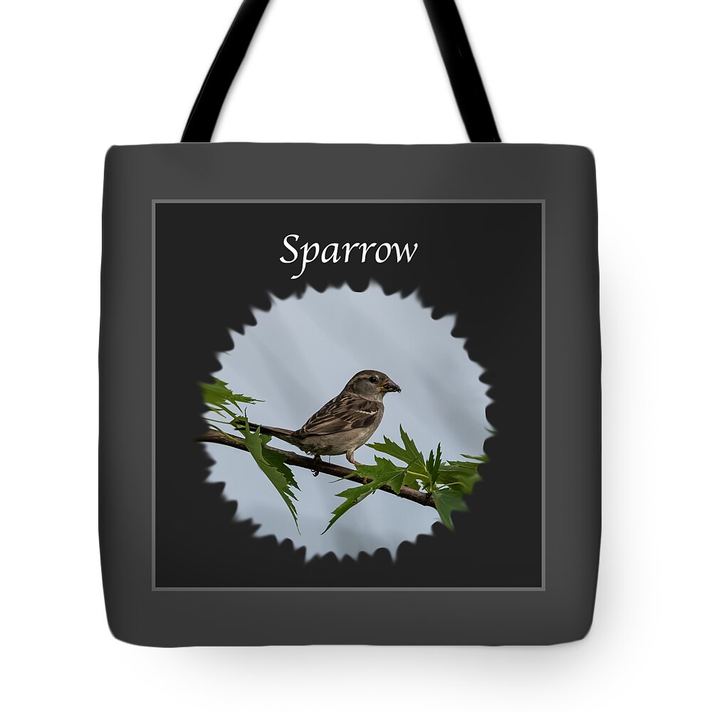 Sparrow Tote Bag featuring the photograph Sparrow  by Holden The Moment