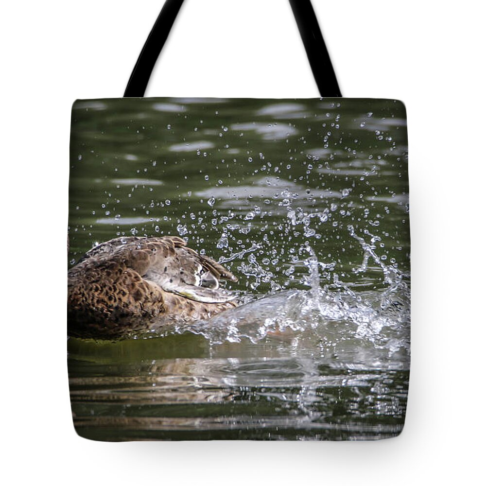 Duck Tote Bag featuring the photograph Speed Duck by Ray Congrove