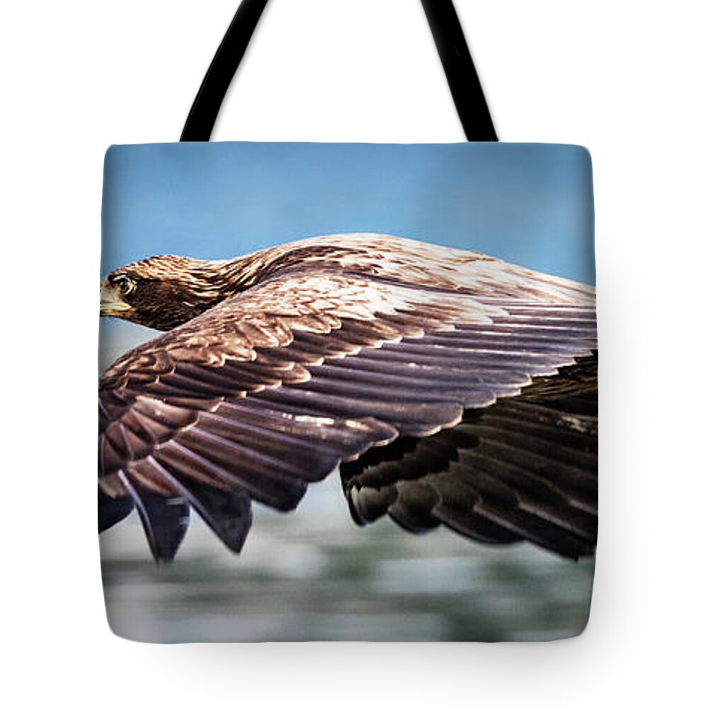 Bird Tote Bag featuring the photograph Speeding by Bruce Bonnett
