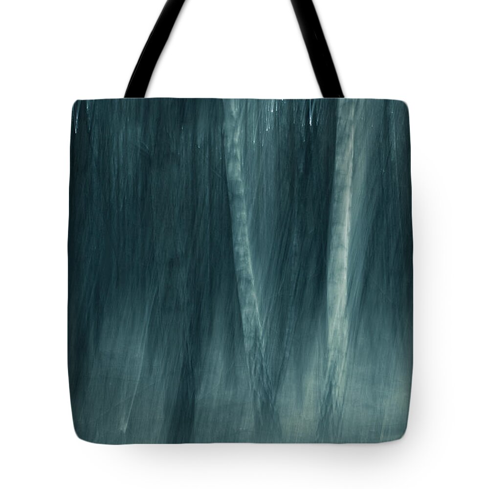 Trees Tote Bag featuring the photograph Spell by Dorit Fuhg