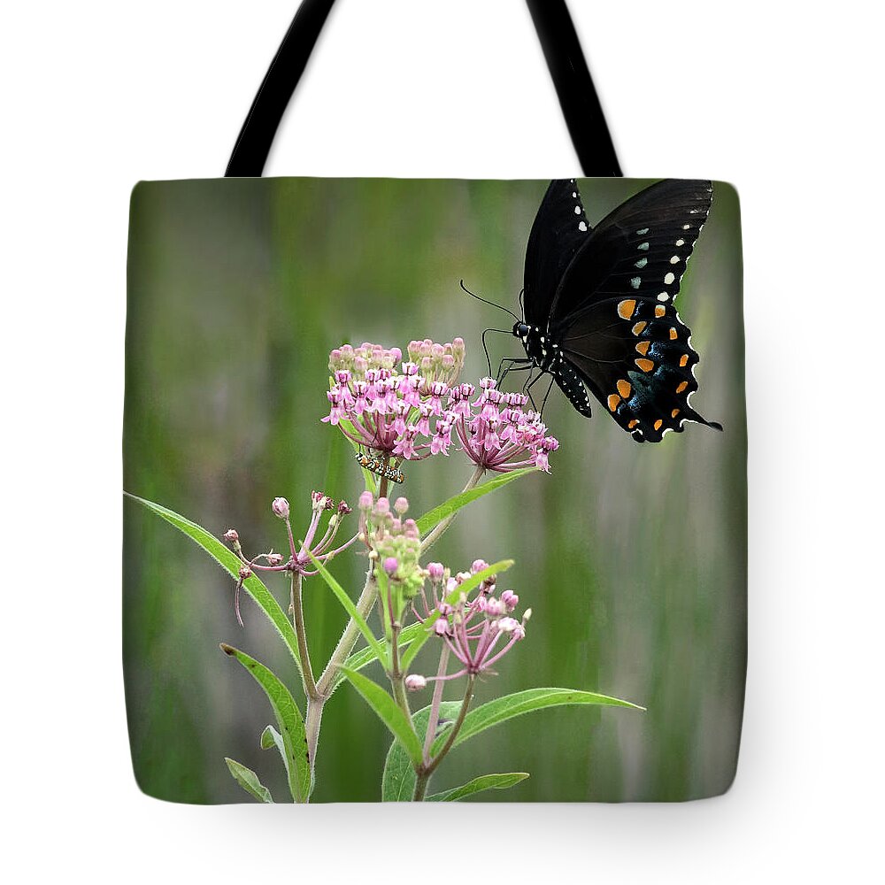 Spicebush Swallowtail.butterfly Tote Bag featuring the photograph Spicebush Swallowtail. by Art Cole