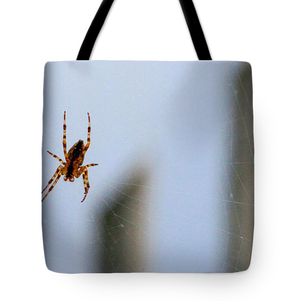 Bonnie Follett Tote Bag featuring the photograph Spider Hello Panorama by Bonnie Follett
