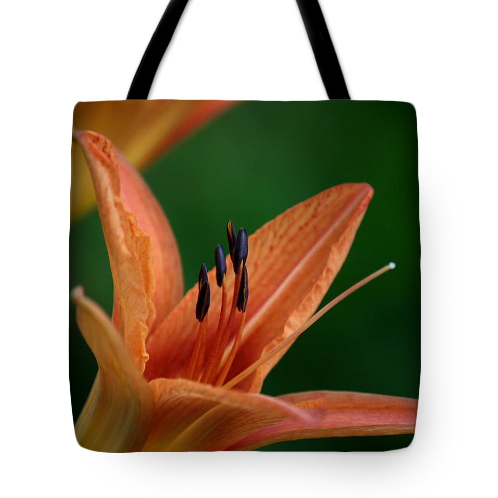 Plants Tote Bag featuring the photograph Spider Lily 2 by Cathy Harper