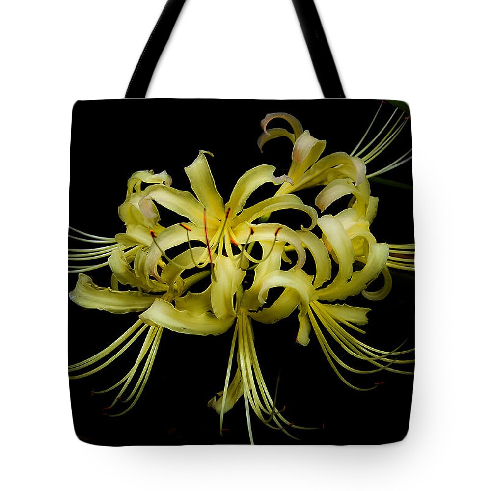 Spider Lily Tote Bag featuring the digital art Spider Lily by DigiArt Diaries by Vicky B Fuller
