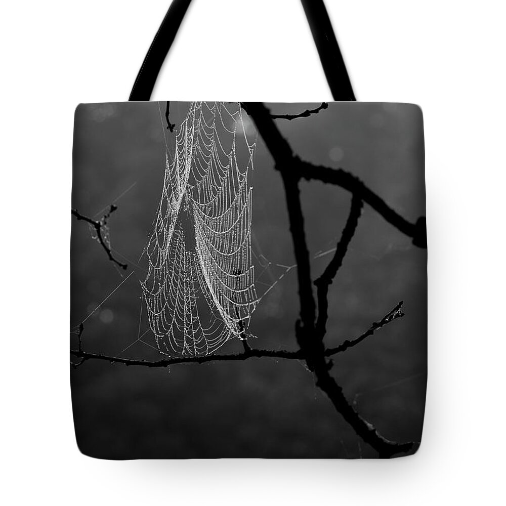 Spider Tote Bag featuring the photograph Spider Web by Alana Ranney