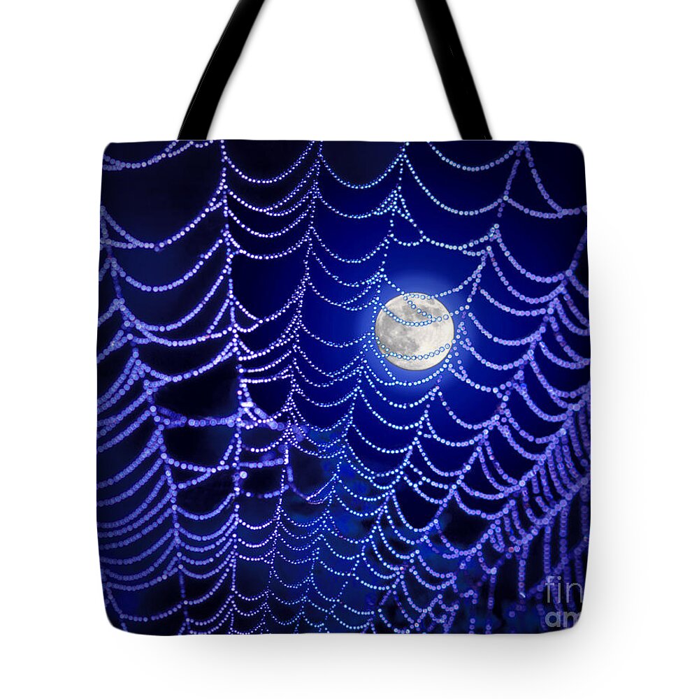 Spider Tote Bag featuring the photograph Spider web by George Robinson