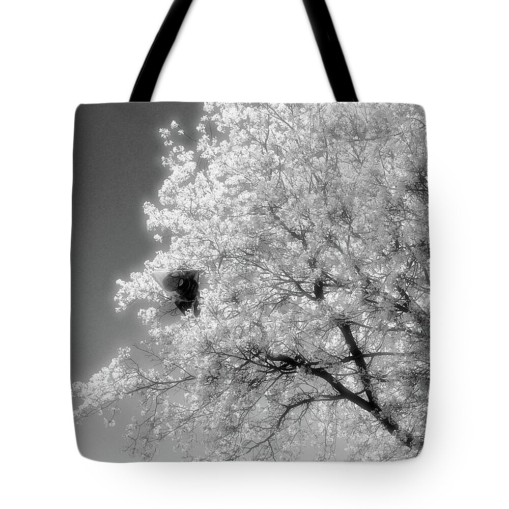 Black And White Tote Bag featuring the photograph Spiderman In A Tree 2 by Lyle Crump