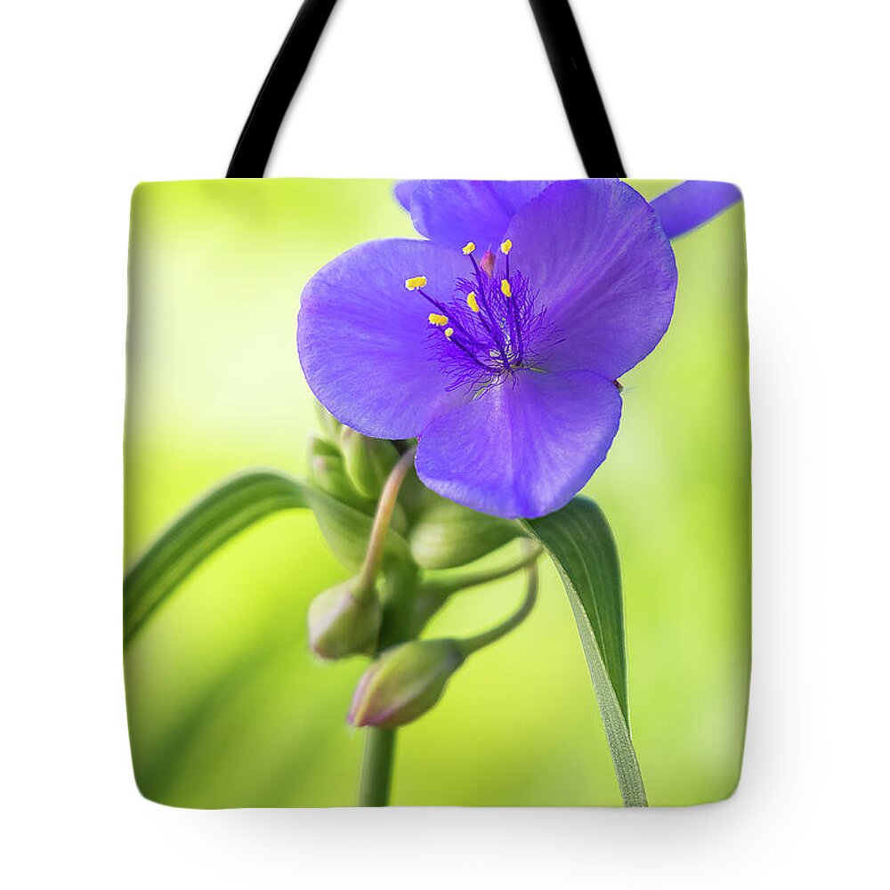 Indiana Tote Bag featuring the photograph Spiderwort Wildflower by Ron Pate
