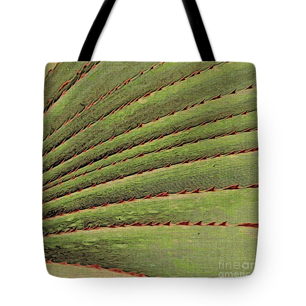 Leaves Tote Bag featuring the photograph Thorns by Onedayoneimage Photography