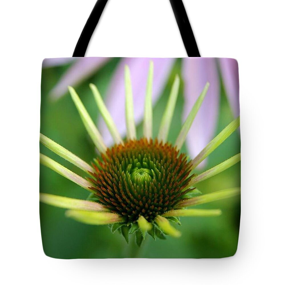 Coneflower Tote Bag featuring the photograph Spikes by Justin Connor