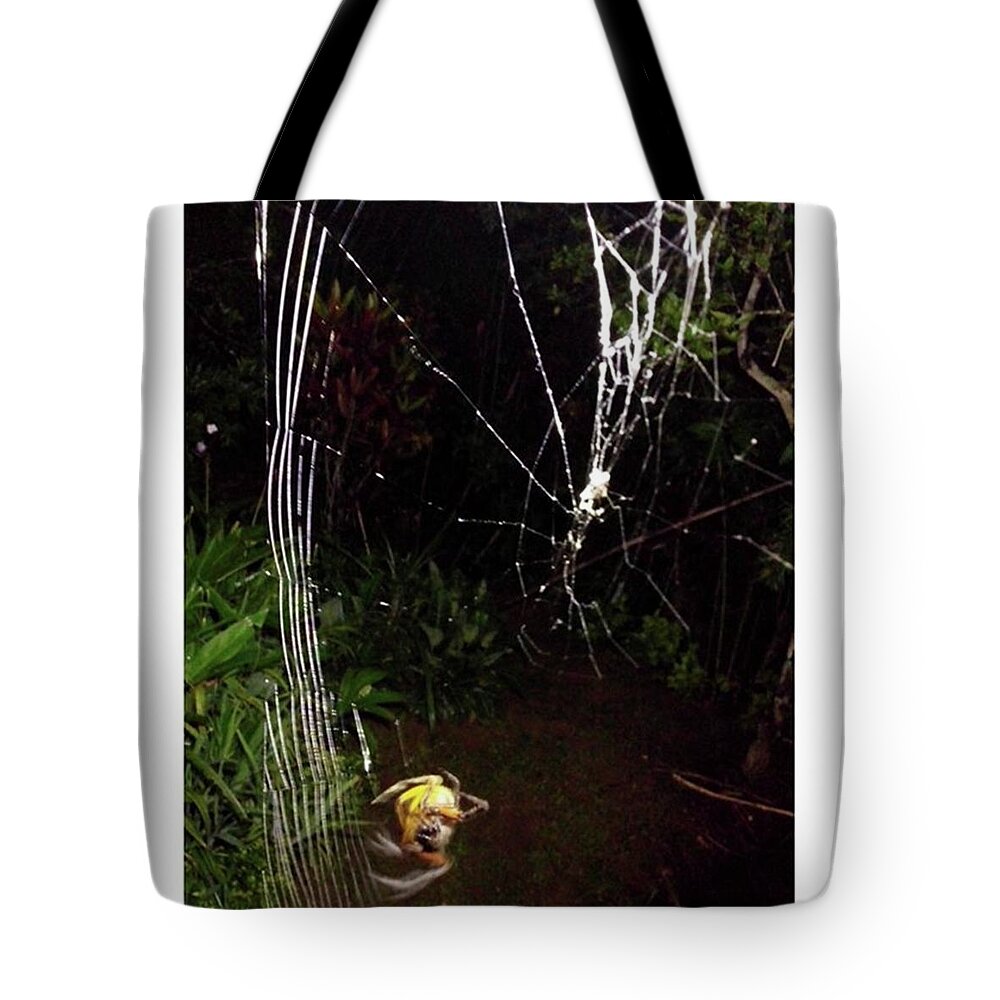 Life Tote Bag featuring the photograph Spiner

from
animall
by
david by David Cardona