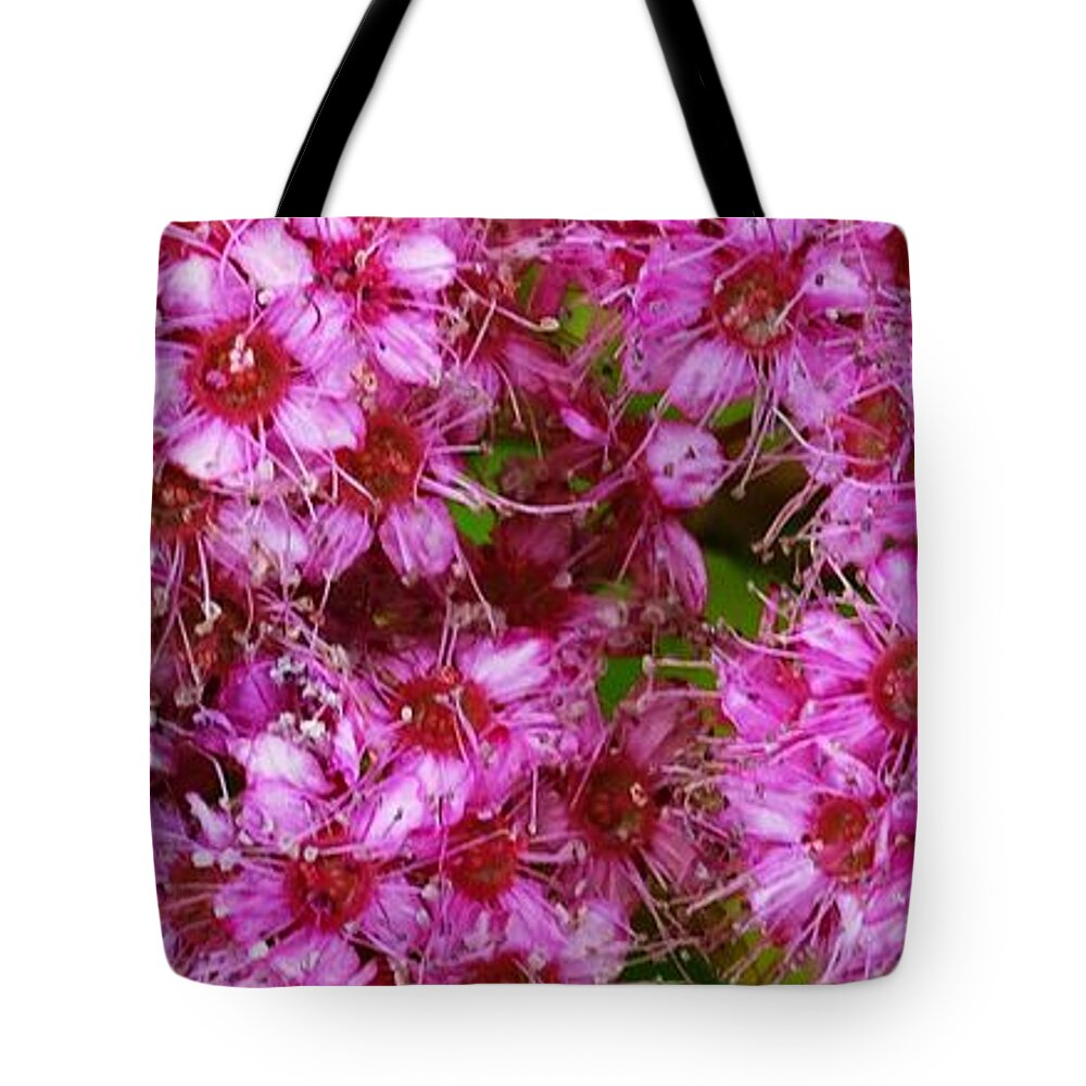 Alyssum Tote Bag featuring the photograph Spirea Pink by J L Zarek