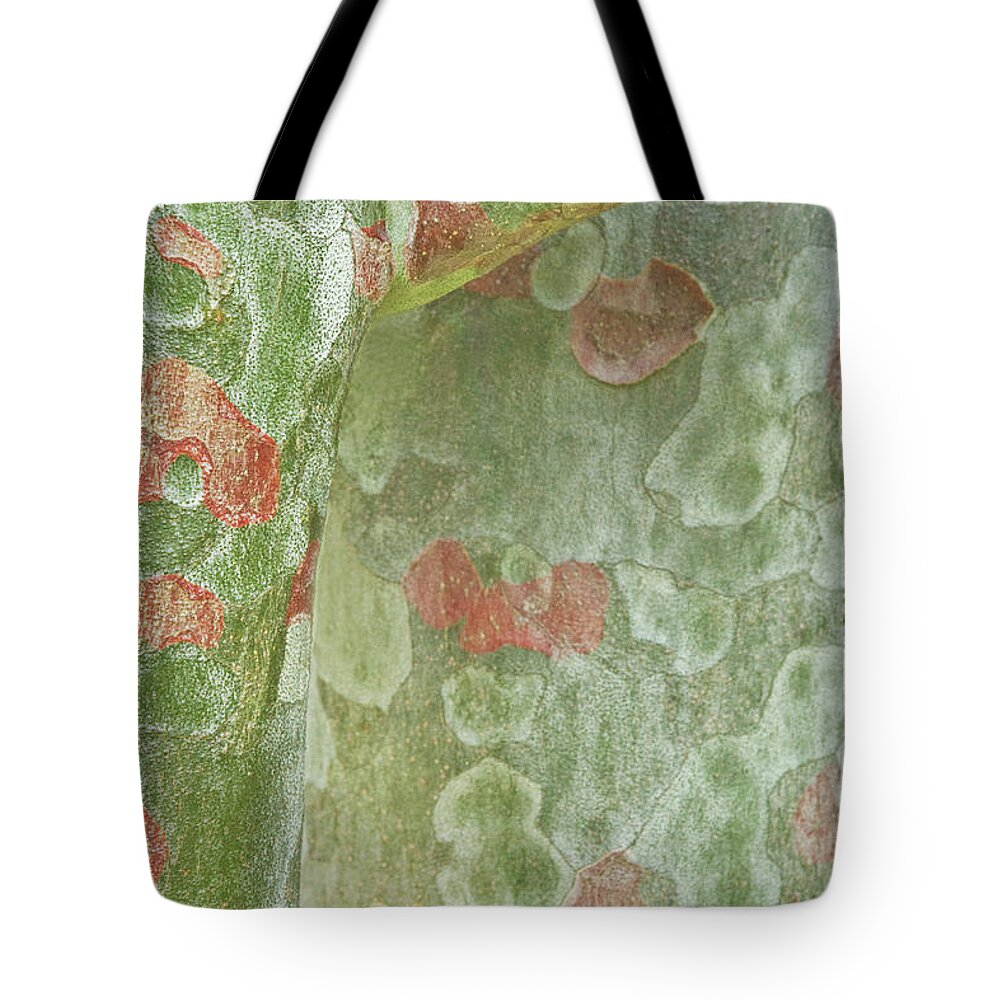 Trees Tote Bag featuring the photograph Spirit of the Trees by Marilyn Cornwell
