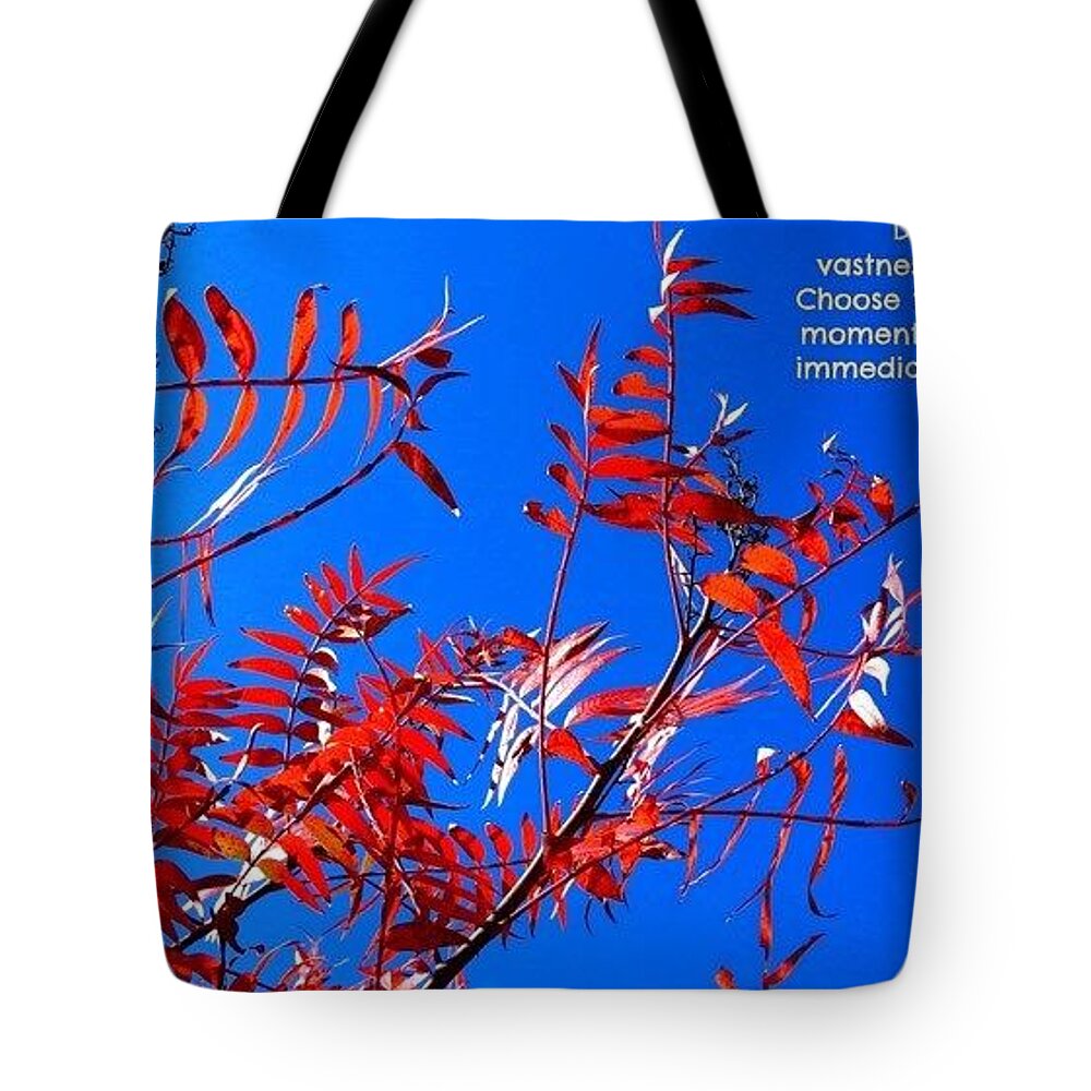  Tote Bag featuring the photograph Spiritual602 by David Norman