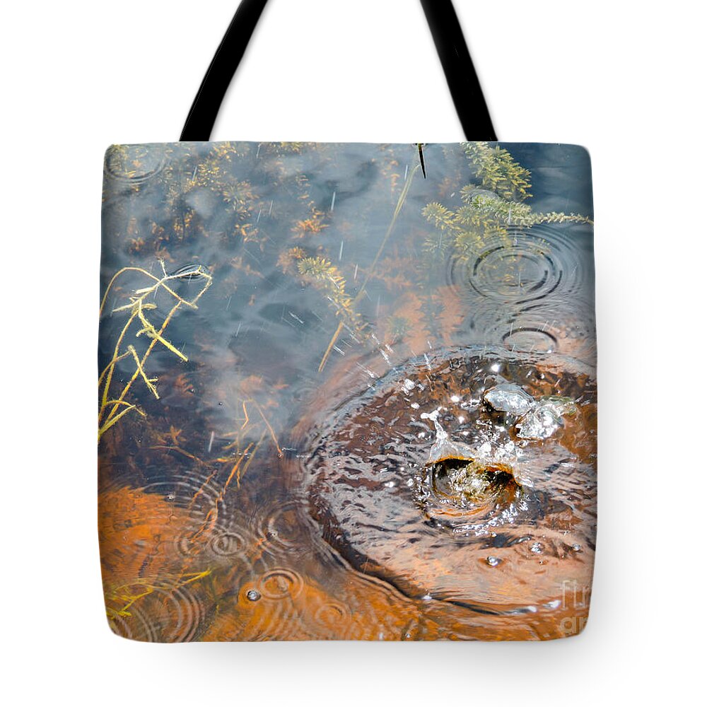 Splash Tote Bag featuring the photograph Splash by Marilee Noland