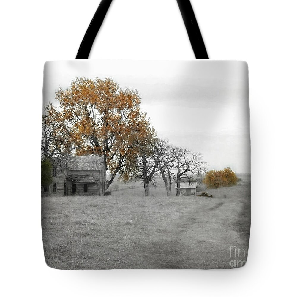 Splash Of Fall Color Tote Bag featuring the photograph Splash Of Fall Color by Kathy M Krause