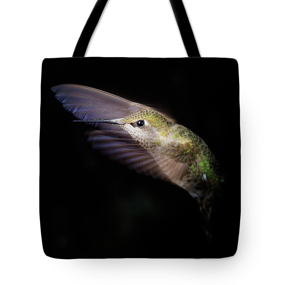 Hummingbird Tote Bag featuring the photograph Splendor by Briand Sanderson