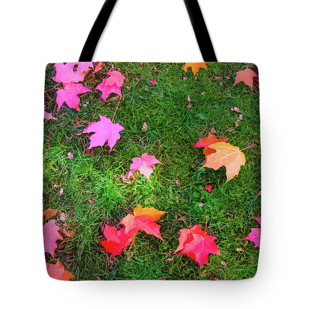 Splendor In The Grass Tote Bag featuring the photograph Splendor in the Grass by Bonnie Follett