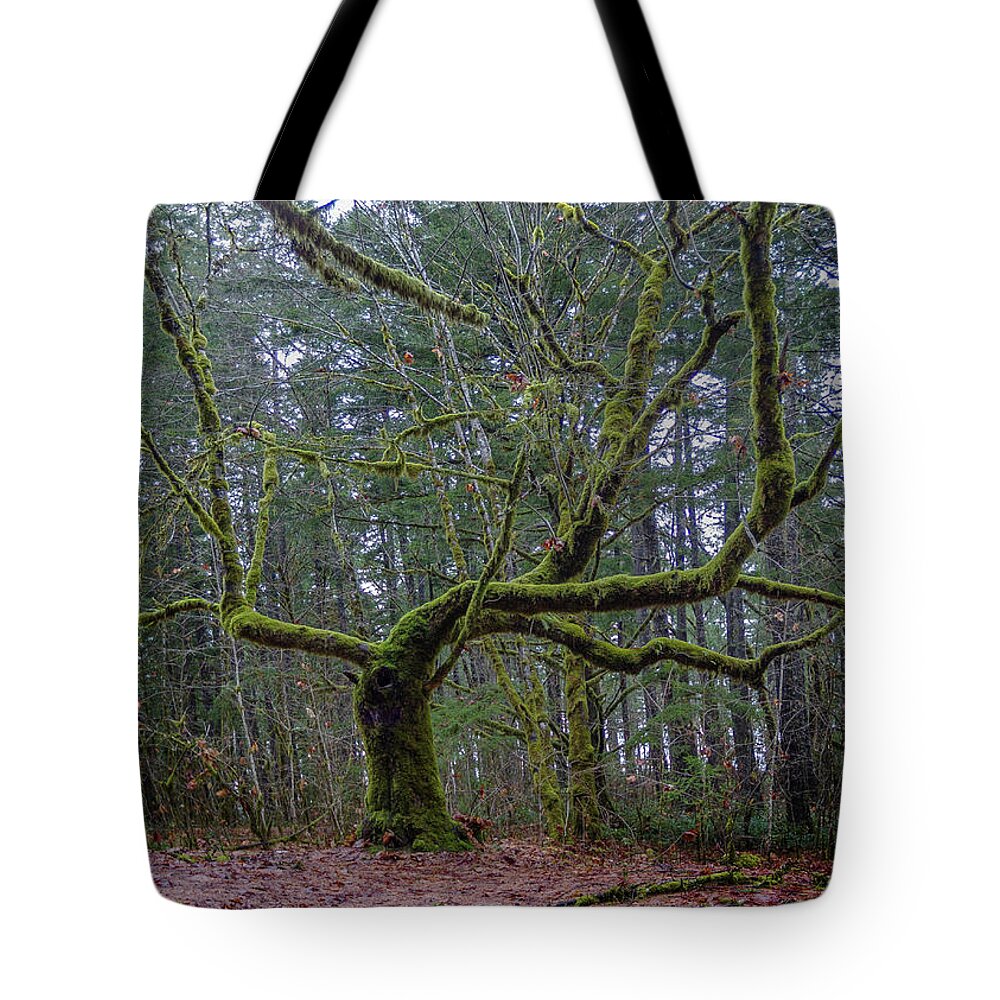  Tote Bag featuring the photograph Spooky Tree by Canadart -