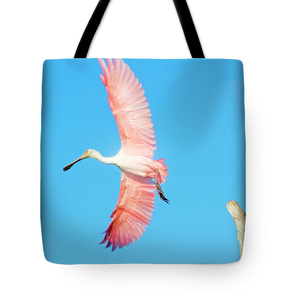 Spoonbill Tote Bag featuring the photograph Spoonbill Skies by Mark Andrew Thomas