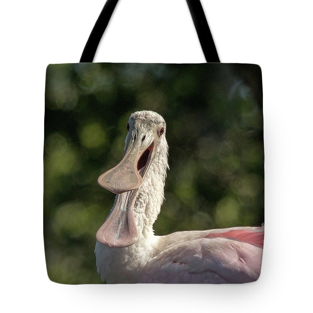 Spoonbill Tote Bag featuring the photograph Spoonbill talk by Dorothy Cunningham
