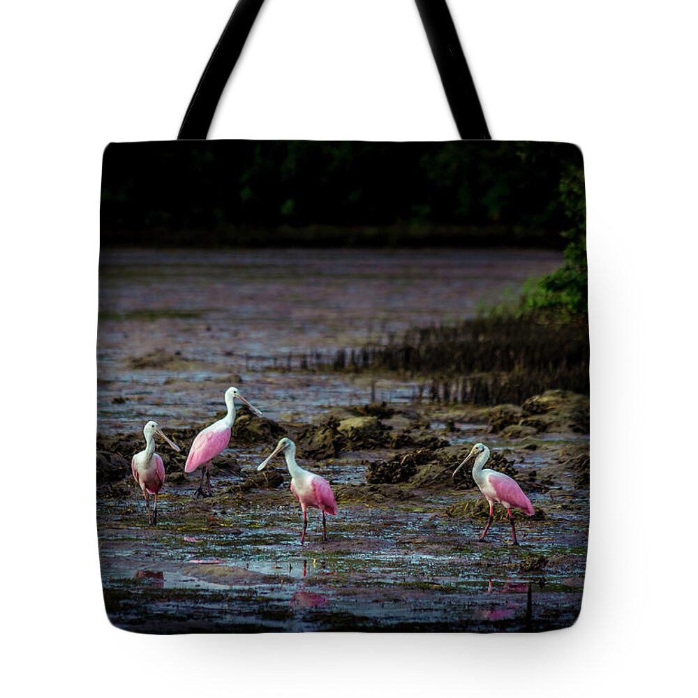 Birds Tote Bag featuring the photograph Spooning Party by Marvin Spates