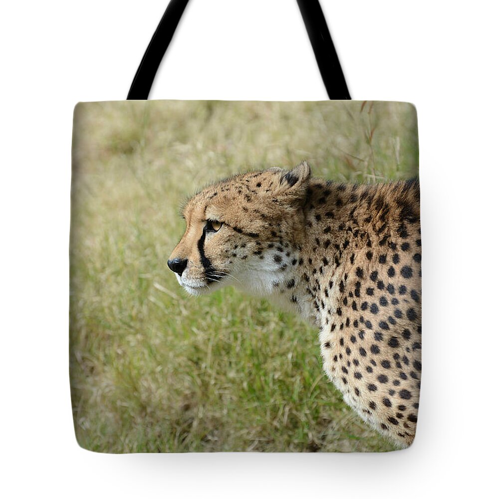 Cheetah Tote Bag featuring the photograph Spotted Beauty 3 by Fraida Gutovich
