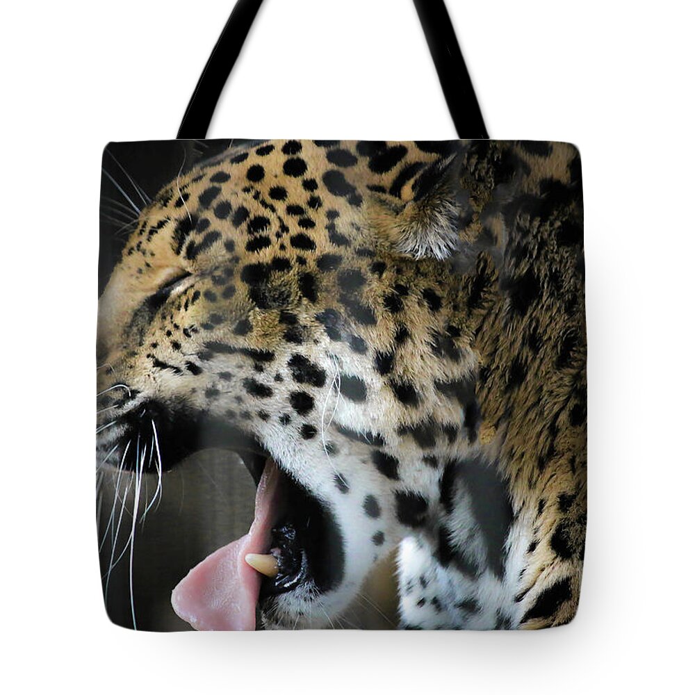Spotted Jaguar Tote Bag featuring the photograph Spotted Jaguar Memphis Zoo by Veronica Batterson