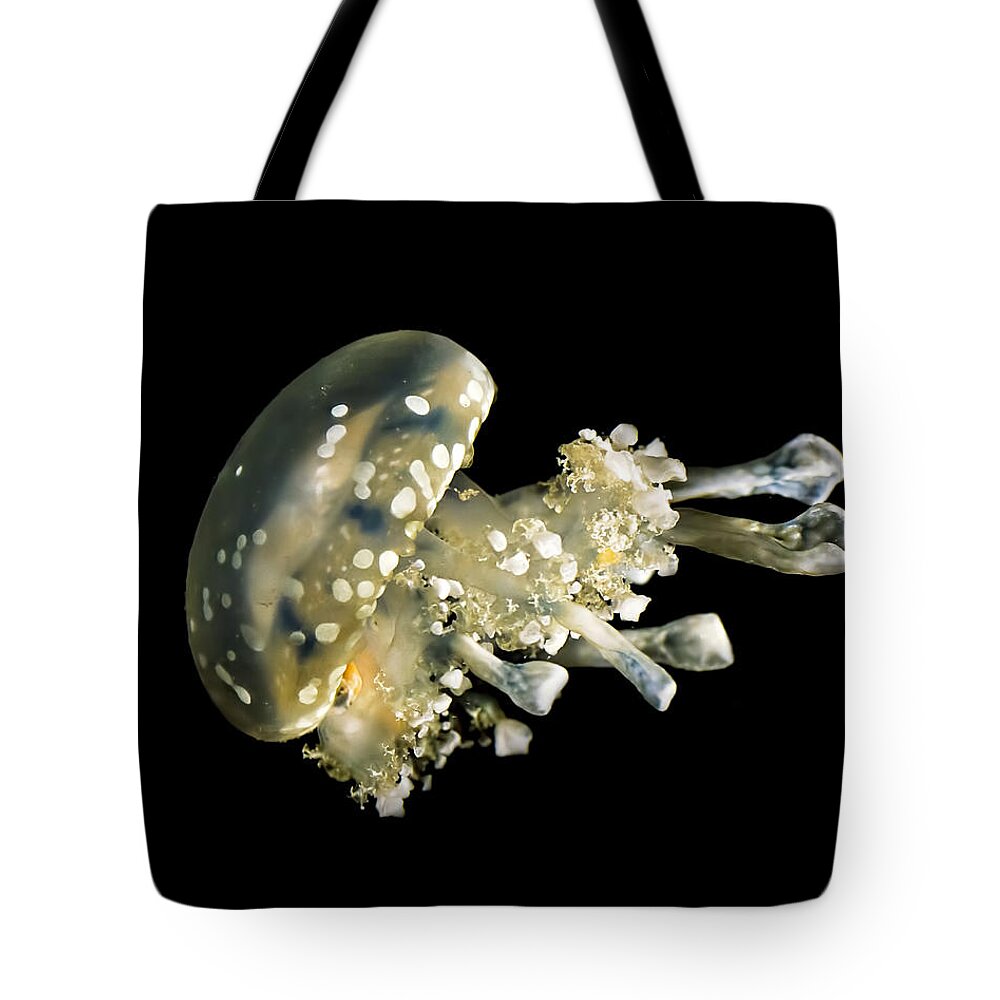 Spotted Jelly Tote Bag featuring the photograph Spotted Lagoon Jellyfish by Heather Applegate