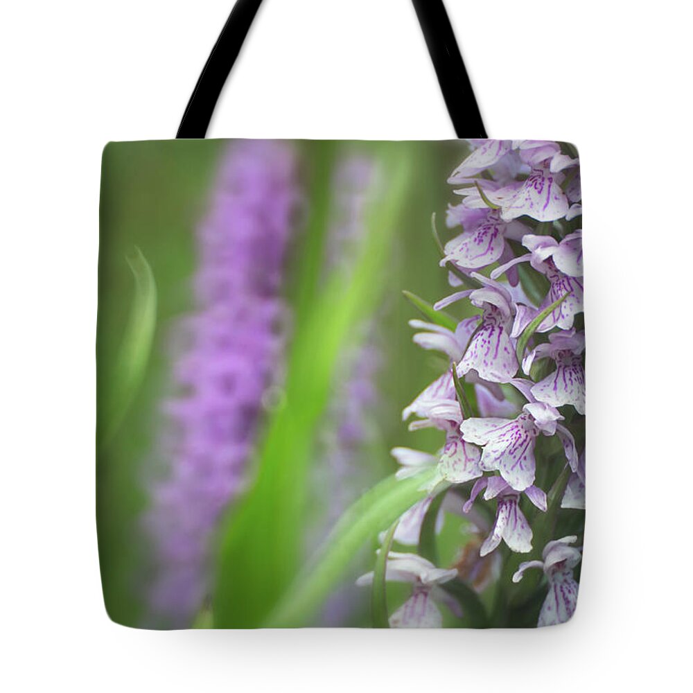 Dactylorhiza Maculata Tote Bag featuring the photograph Spotted moor orchid detail by Dirk Ercken