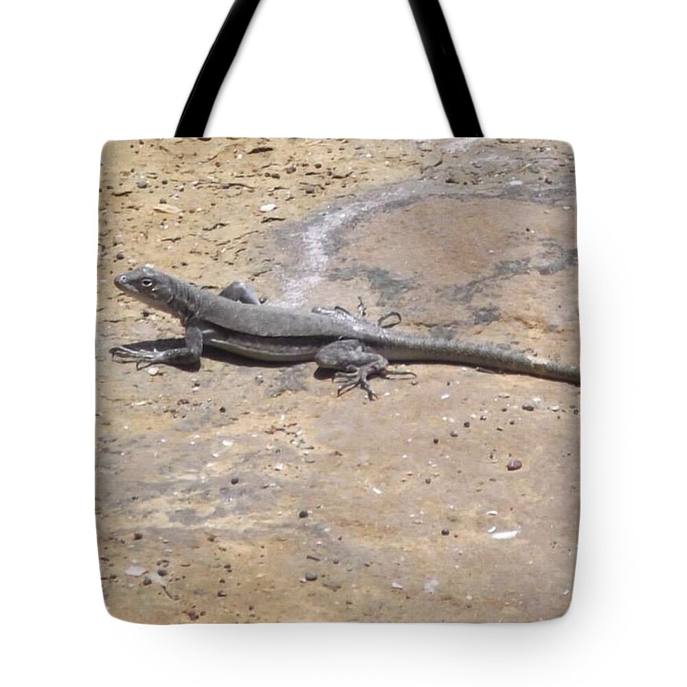 Reptile Tote Bag featuring the photograph Lizard basking in the Sun by Charlotte Cooper