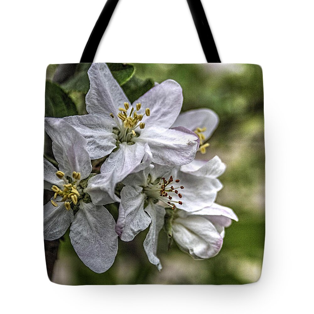 Pictorial Tote Bag featuring the photograph Spring 2015 Apple Blossoms by Roger Passman