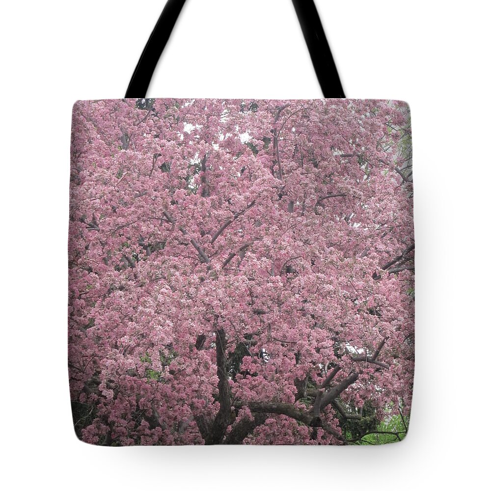Art Tote Bag featuring the photograph Spring 22 by Funmi Adeshina