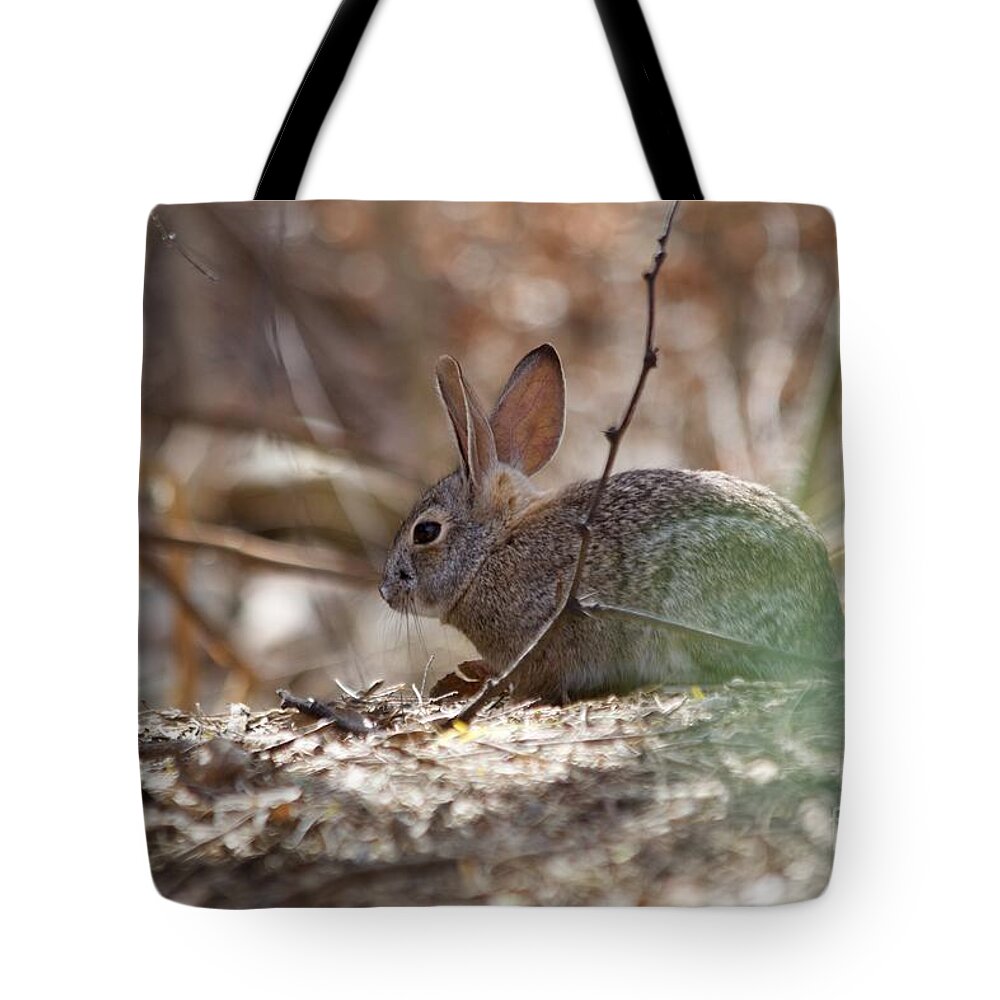 Digital Photography Tote Bag featuring the photograph Spring by Afrodita Ellerman