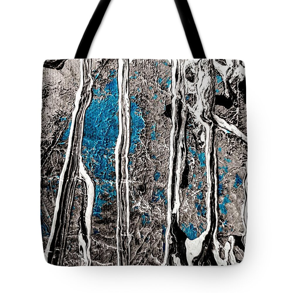 Spring Tote Bag featuring the painting Spring Awakening by Jacqueline McReynolds
