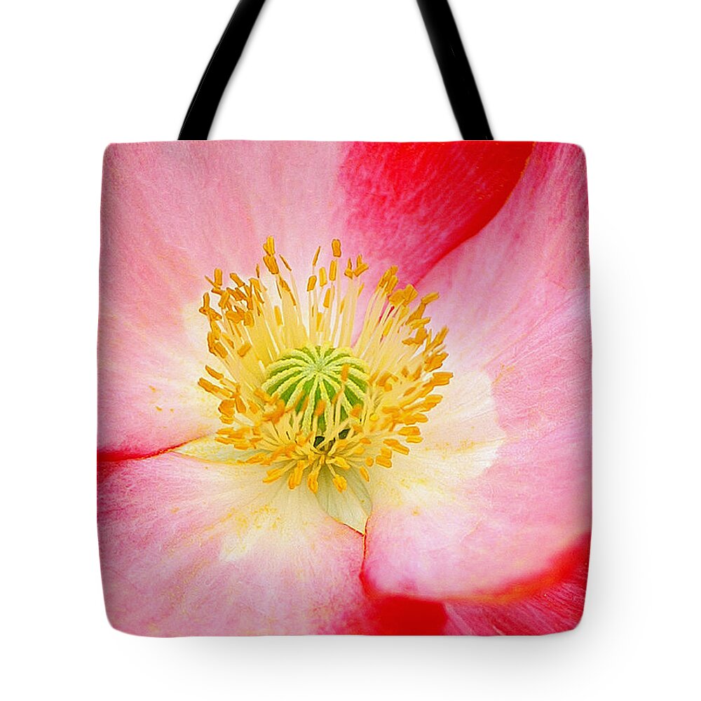Poppy Tote Bag featuring the photograph Spring Beauty by Bill Morgenstern