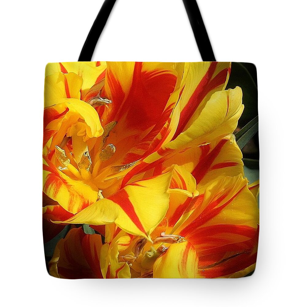 Flora Tote Bag featuring the photograph Spring Beauty by Bruce Bley