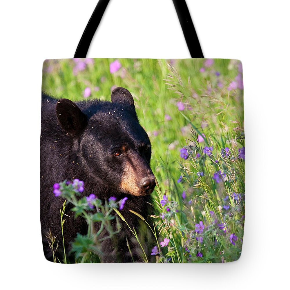 Black Bear Tote Bag featuring the photograph Spring Black Bear by Mark Miller