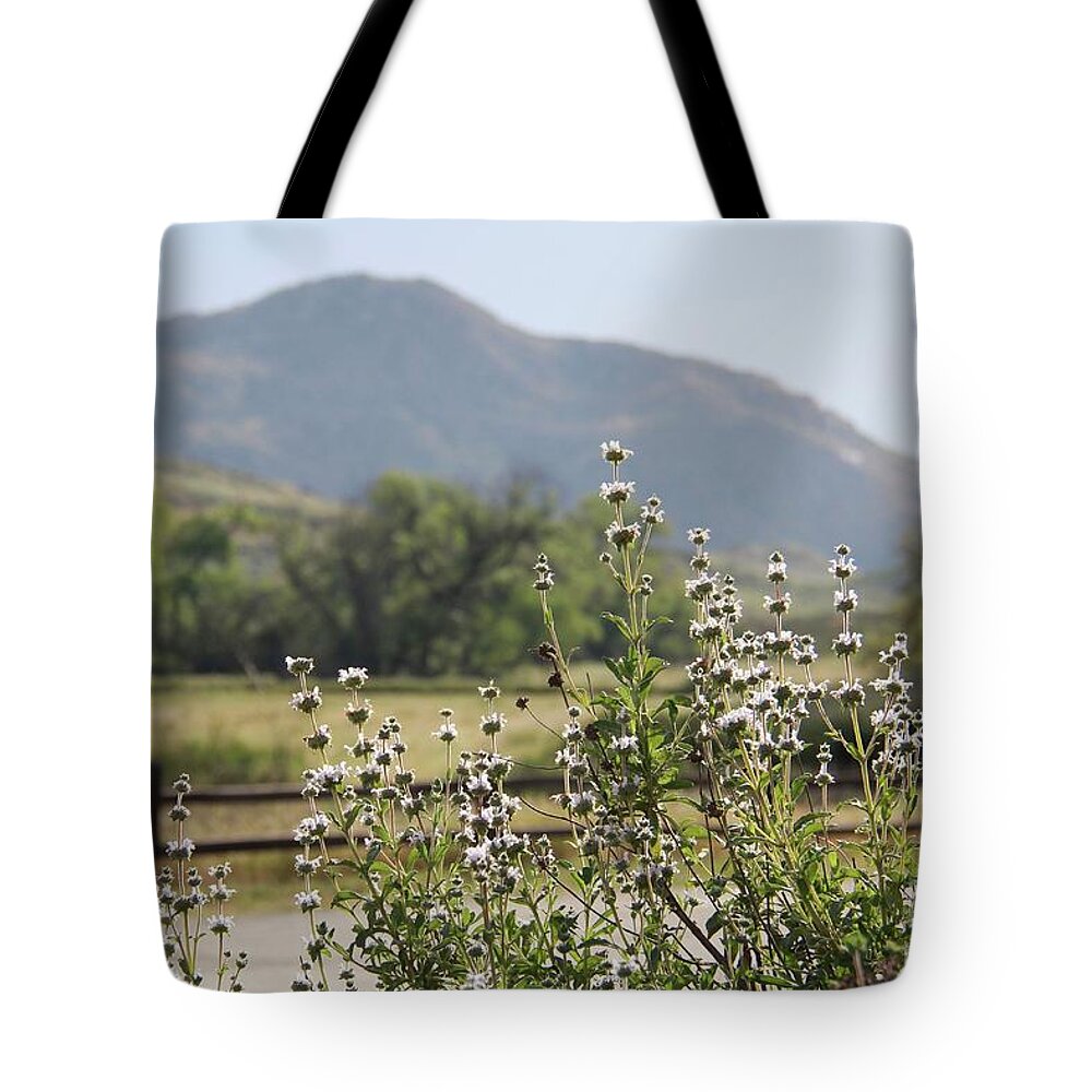 Flowers Tote Bag featuring the photograph Spring Bloom by Suzanne Oesterling