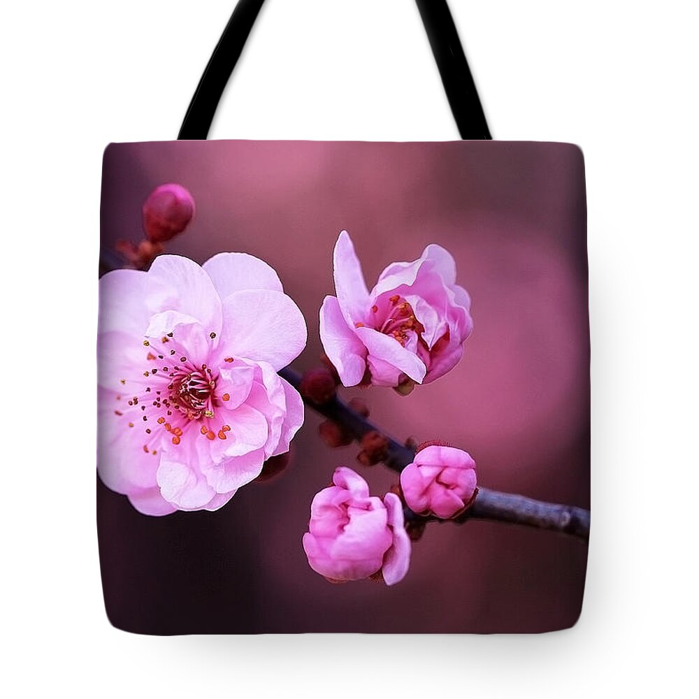Spring Tote Bag featuring the photograph Spring Blossom and buds by Vanessa Thomas