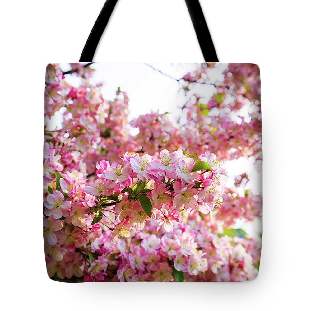 Belknap Mill Tote Bag featuring the photograph Spring Blossoms Belknap Mill by Robert Clifford