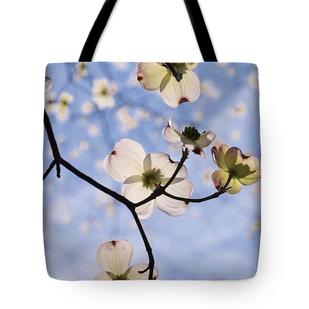 Spring Blossoms In The Sky Tote Bag featuring the photograph Spring Blossoms In The Sky by Lisa Wooten
