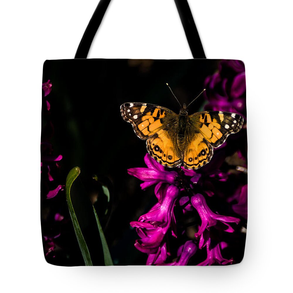 Hyacinth Tote Bag featuring the photograph Spring Butterfly by Jay Stockhaus