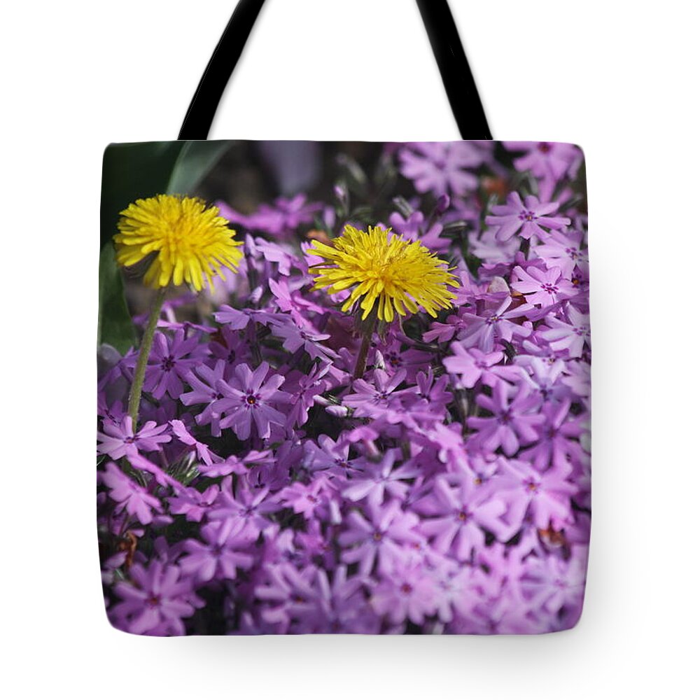 Spring Tote Bag featuring the photograph Spring Carousel by Vadim Levin