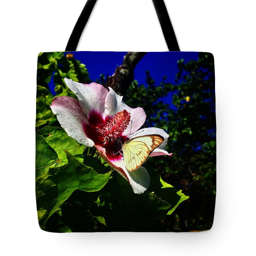 Animal Tote Bag featuring the photograph Spring by Cesar Vieira