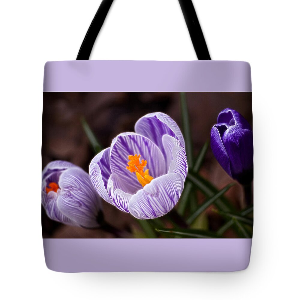 Flower Tote Bag featuring the photograph Spring Crocus by Cameron Wood
