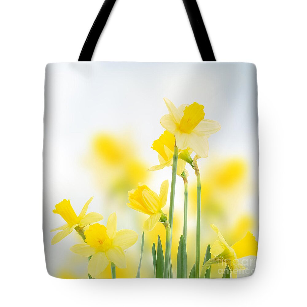 Daffodil Tote Bag featuring the photograph Spring Daffodils by Anastasy Yarmolovich