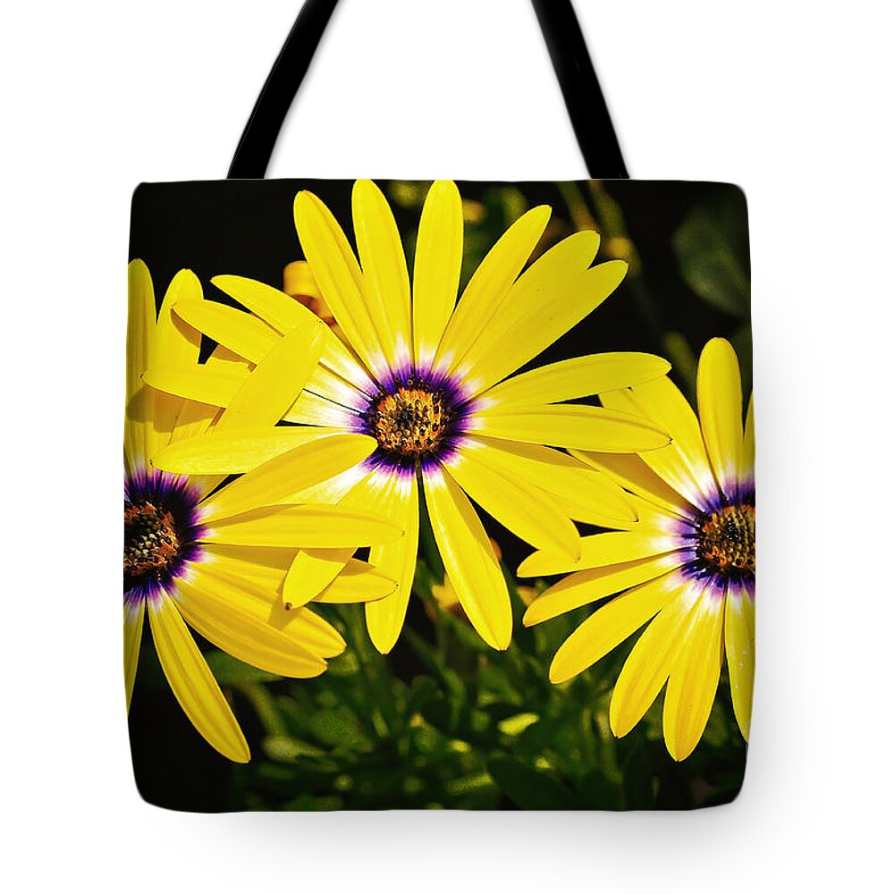 Wildflowers Tote Bag featuring the photograph Spring Flowers by Gwen Gibson