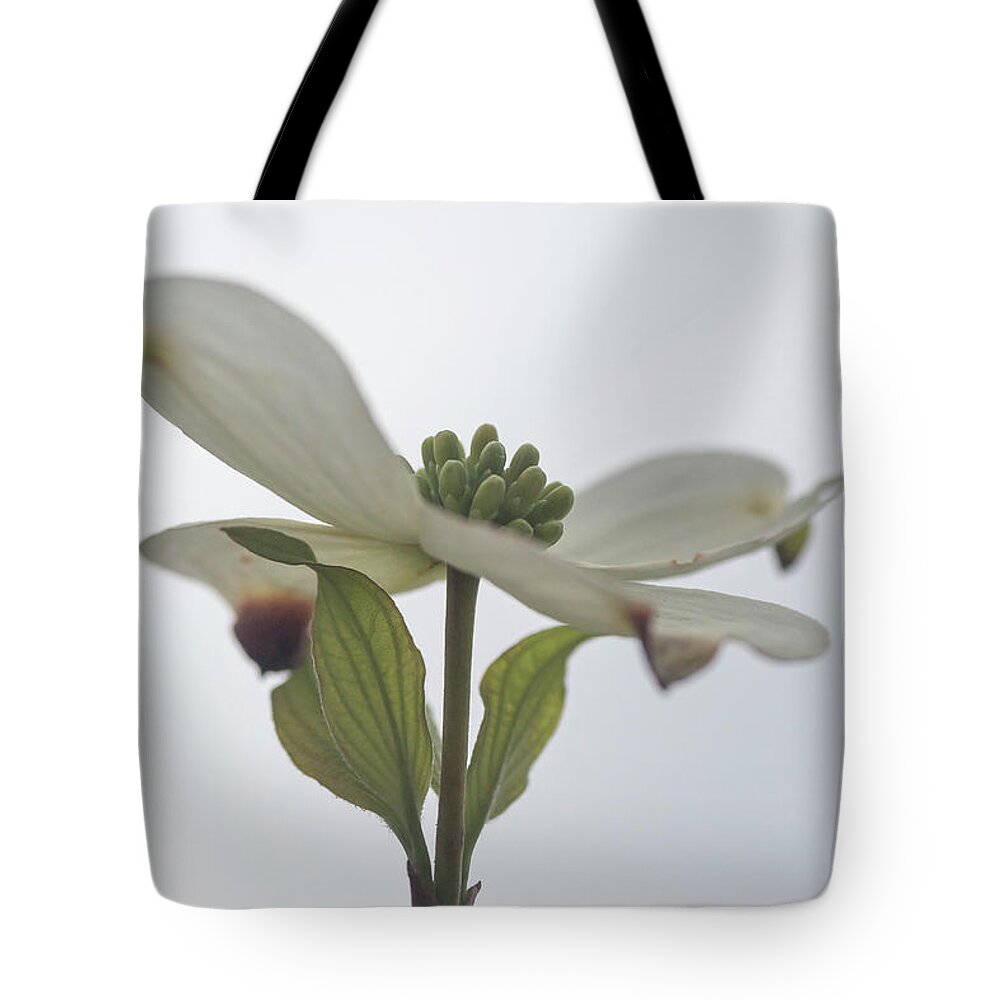 Blossoms Tote Bag featuring the photograph Spring Forward by Ray Silva