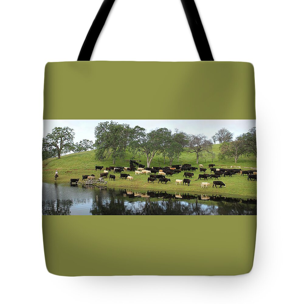 Cattle Tote Bag featuring the photograph Spring Gather by Diane Bohna